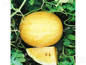 ����2̖-��ϷN��-���߷N�I(y��)