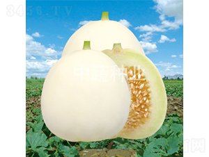 ����21-��ϷN��-���߷N�I(y��)