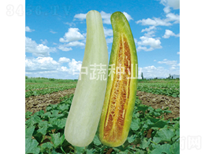 ���x�����-��ϷN��-���߷N�I(y��)