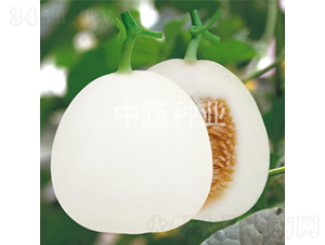 ����29-��ϷN��-���߷N�I(y��)