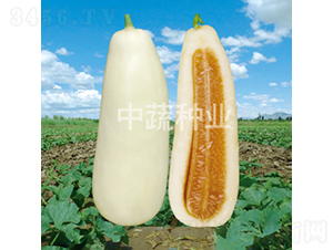 ��ţ-��ϷN��-���߷N�I(y��)