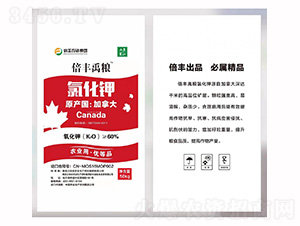 �r(n��ng)�I(y��)���Ȼ��-���S���Z-���S�r(n��ng)�I(y��)