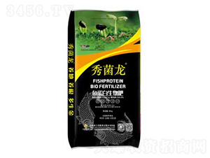 �~���������-�����-ɽ�����