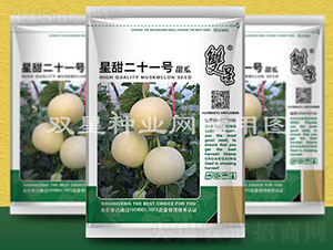 �����ʮһ̖(h��o)-��ϷN��-�p�ǷN�I(y��)