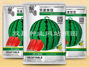 �p������-���ϷN��-�p�ǷN�I(y��)