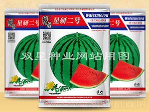 ���ж�̖(h��o)-���ϷN��-�p�ǷN�I(y��)