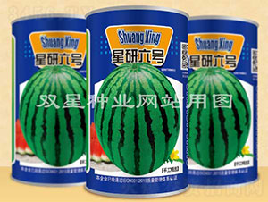 星研六號-西瓜種子-雙星種業(yè)