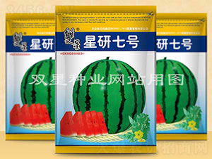 星研七號-西瓜種子-雙星種業(yè)