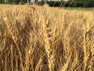 ��(j��)��22-С���N��-�Ǻ����r(n��ng)