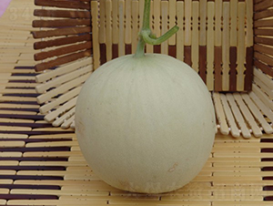 ����-��ϷN��-�A���N��