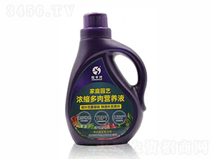 濃縮多肉營(yíng)養(yǎng)液-花千代