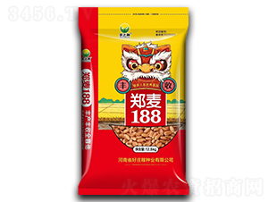 ����188-С���N��-���f�ڷN�I(y��)