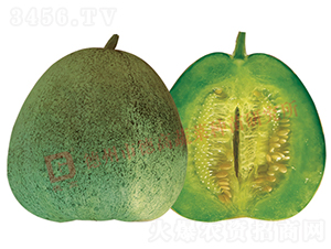 �¸�Q16-��ϷN��-�¸߷N�I(y��)