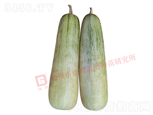 �¸�S60-��ϷN��-�¸߷N�I(y��)