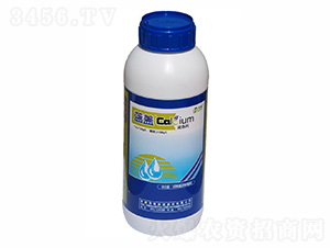 �ЙC�}��-�{(l��n)�w-ïʩ���� 