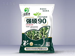 強碩90-玉米種子-金種源