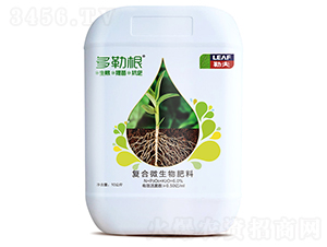 ���ո�-�շ�