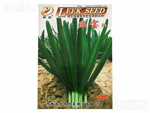 韭寶F1-韭優(yōu)種業(yè)