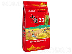 С��23С���N��-���\��-���̷N�I(y��)