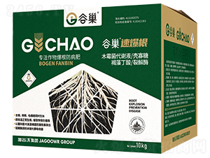 速爆根-谷巢-加谷沃