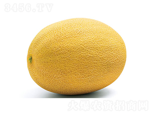 ����-��ϷN��-�c�l(f��)��ʢ