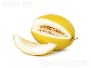 ����1̖-��ϷN��-�c�l(f��)��ʢ