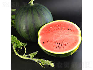 ī��1̖-���ϷN��-�c�l(f��)��ʢ