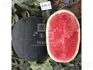 �̺�1̖-���ϷN��-�c�l(f��)��ʢ