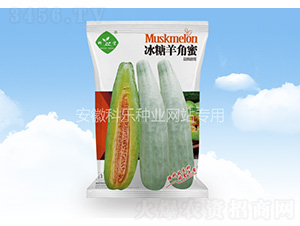 ���������-�Ƙ�(l��)�N�I(y��)