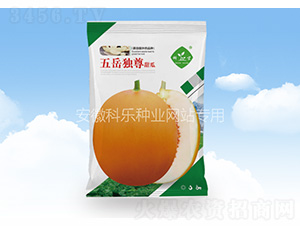 ������(d��)��-�Ƙ�(l��)�N�I(y��)