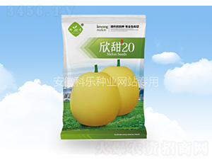 ����20-�Ƙ�(l��)�N�I(y��)