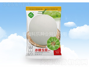 ������-�Ƙ�(l��)�N�I(y��)