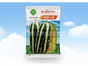 ���(y��ng)9̖(h��o)-�Ƙ�(l��)�N�I(y��)