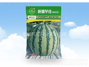 �½����8424-�Ƙ�(l��)�N�I(y��)