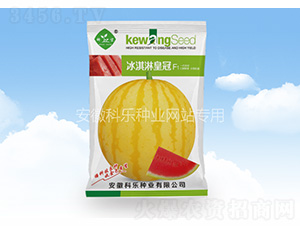 ����ܻʹ�-�Ƙ�(l��)�N�I(y��)