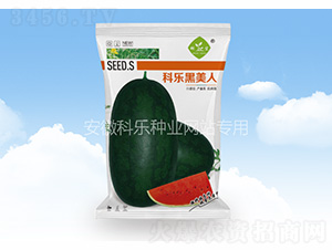 �Ƙ�(l��)������-�Ƙ�(l��)�N�I(y��)