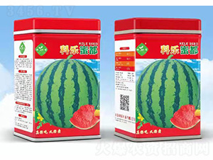 �Ƙ�(l��)�۶�-�Ƙ�(l��)�N�I(y��)