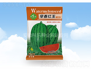 �紺�t��ڿڴ�-�Ƙ�(l��)�N�I(y��)