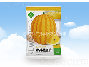 ����ܻʺ�-�Ƙ�(l��)�N�I(y��)