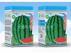 �p��������-�Ƙ�(l��)�N�I(y��)