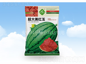 �������t��-�Ƙ�(l��)�N�I(y��)