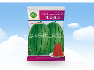 �����t��-�Ƙ��N�I(y��)