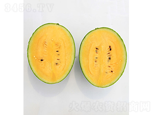 ���r��Ʒ1̖-���ϷN��-���r�r�I(y��)