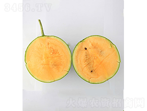 ���r��Ʒ2̖-���ϷN��-���r�r�I(y��)