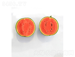 ���r��Ʒ3̖-���ϷN��-���r�r�I(y��)