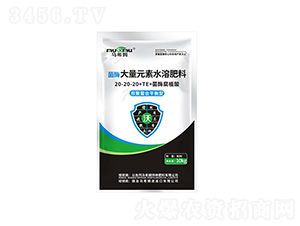 菌酶雙聚螯合平衡型大量元素水溶肥料20-20-20+TE-馬希姆