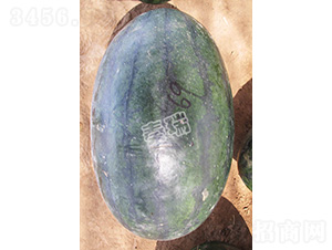 ���������-���ϷN��-����