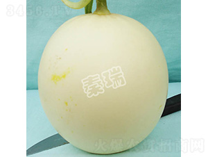 С��-��ϷN��-����