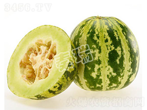 ������-��ϷN��-����