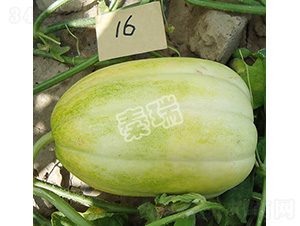 ������̖-��ϷN��-����